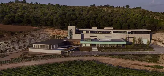 Bodegas AALTO